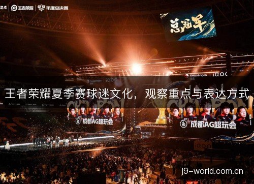 王者荣耀夏季赛球迷文化，观察重点与表达方式